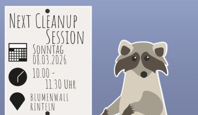 Next Cleanup Post Vorlage 7