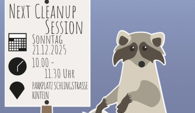 Next Cleanup Post Vorlage 1 Next Cleanup Post Vorlage 1