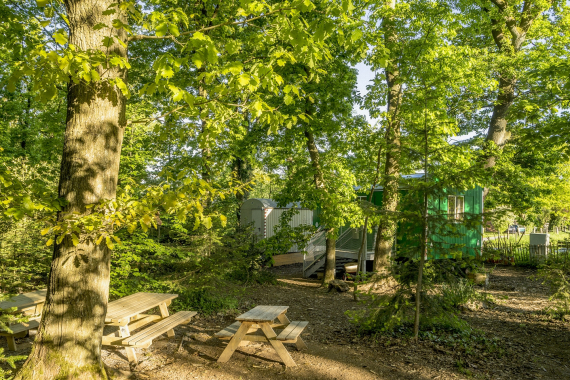 Waldkindergarten Struecken Die Heidestrolche 4 